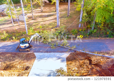 Work crew uses machinery to remove large tree blocking road after hurricane in forested area 121978591
