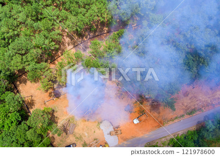 Controlled burn creates smoke while clearing underbrush in forested area to promote healthier land management. 121978600