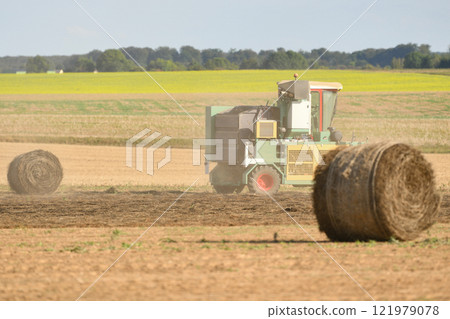 A tractor cleans the field with flax and makes bales A tractor cleans the field with flax and makes bales 121979078