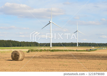 Windmills near the field of flax Normandy France Windmills near the field of flax Normandy France 121979080