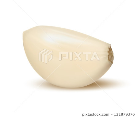 Realistic isolated garlic clove, ripe and raw garlic plant, seasoning vegetable slice. 3d vector peeled fresh clove with smooth texture. Natural condiment with pungent aroma for cooking culinary dish 121979370