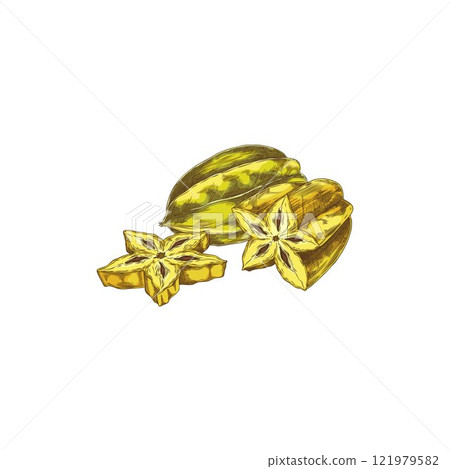 Carambola. Hand drawn vector of yellow tropical fruit: whole carambola and a piece. 121979582