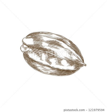 Vector illustration of a carom made in style of a black and white hand-drawn drawing Vector illustration of a carom made in style of a black and white hand-drawn drawing 121979594