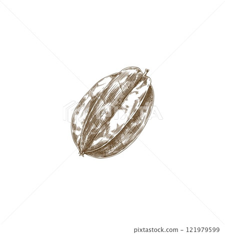 Vector element with the image of a whole tropical fruit carambola on a white background. 121979599