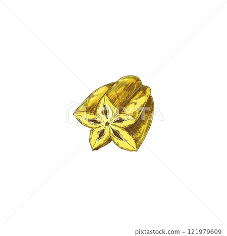 Vector element with cut half of sweet and sour carambola fruit in shape of star 121979609
