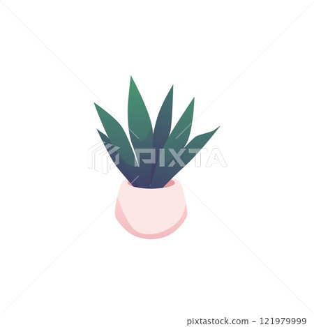 Potted plant. Aloe. 121979999