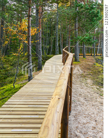 White Dune wooden boardwalk in Roja parish on the Baltic Sea coast, Latvia, seaside hiking trail 121980297