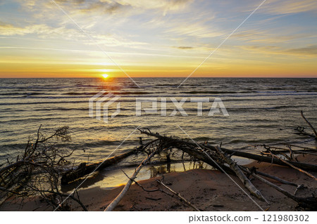 Sunrise on the Baltic Sea coast with tree trunks washed away by coastal erosion in the foreground Sunrise on the Baltic Sea coast with tree trunks washed away by coastal erosion in the foreground 121980302
