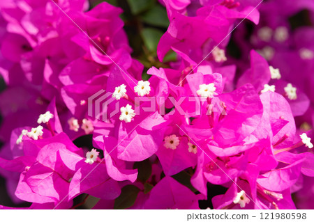 Vung Tau Beach with Blue Sky Flowers and Mother Mary Statue Scenic Coastal View with Coffee Shop Nearby High quality photo 121980598