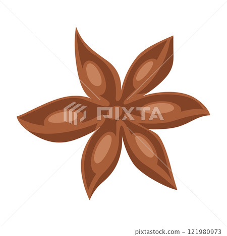 Illustration of star anise. Stylized food object for cooking recipe and menu. 121980973
