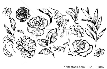 Vector leaves and flowers collection 121981887
