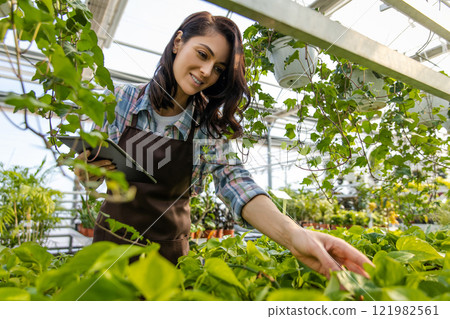 Young dark-haired woman working in a glasshouse checking plants condition 121982561