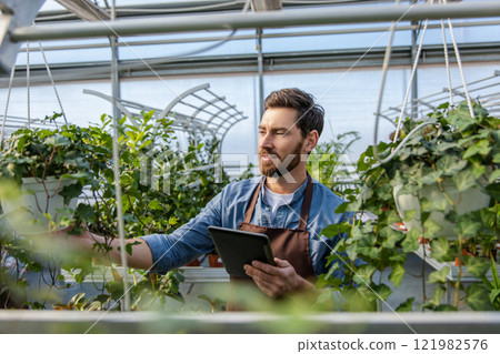 Male bearded greenhouse worker looking involved and busy 121982576
