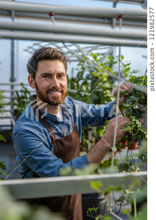 Male bearded greenhouse worker looking involved and busy Male bearded greenhouse worker looking involved and busy 121982577