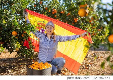 Cheerful middle-aged woman farmer holding flag of Spain while sitting in front of tangerine tree during harvest in garden Cheerful middle-aged woman farmer holding flag of Spain while sitting in front of tangerine tree during harvest in garden 121982635