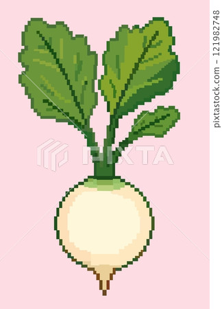 White radish. Vector pixel illustration on pastel pink background White radish. Vector pixel illustration on pastel pink background 121982748