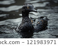 Seabird covered in oil products from oil spill following oil tanker accident 121983971