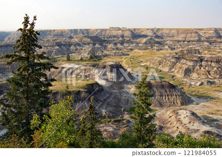 Eroded sandstone formations and badlan's flora in Horseshoe canyon. Eroded sandstone formations and badlan's flora in Horseshoe canyon. 121984055
