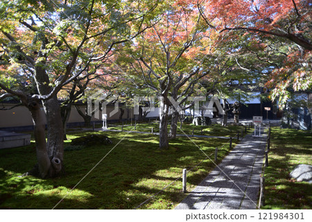 Daitokuji Temple, Obai-in Temple grounds, Murasakino, Kita-ku, Kyoto City Daitokuji Temple, Obai-in Temple grounds, Murasakino, Kita-ku, Kyoto City 121984301