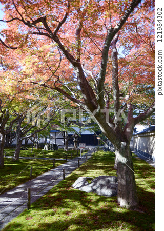 Daitokuji Temple, Obai-in Temple grounds, Murasakino, Kita-ku, Kyoto City 121984302