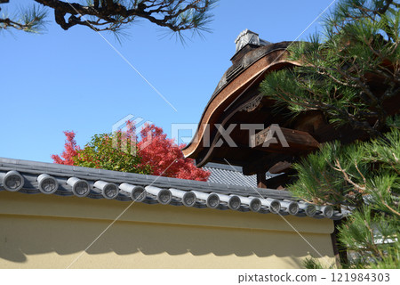 Daitokuji Temple, Korin-in Temple, Murasakino, Kita-ku, Kyoto City Daitokuji Temple, Korin-in Temple, Murasakino, Kita-ku, Kyoto City 121984303