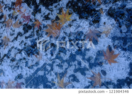Ice and autumn leaves Ice and autumn leaves 121984346