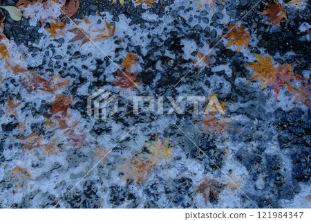 Ice and autumn leaves Ice and autumn leaves 121984347