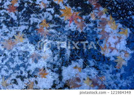 冰和秋天的樹葉圖案 121984349