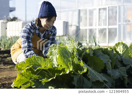 Scene of farmers working in the fields 121984955