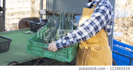 在外地工作的婦女 121985016