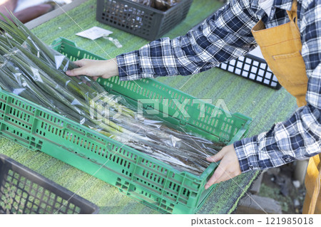 在外地工作的婦女 121985018