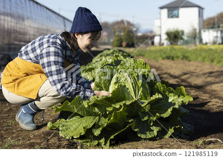 Scene of farmers working in the fields Scene of farmers working in the fields 121985119