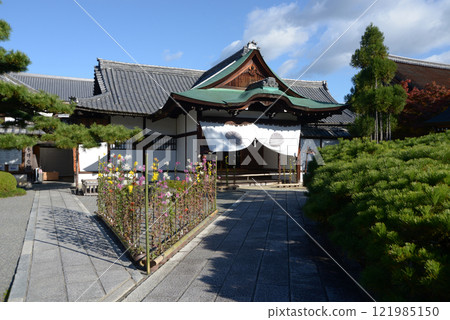 Daikakuji Temple: The entrance hall and Saga chrysanthemums, Saga, Ukyo Ward, Kyoto City 121985150