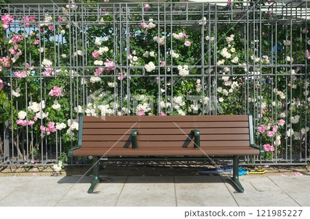 Bench at Nakanoshima Park in early summer Bench at Nakanoshima Park in early summer 121985227