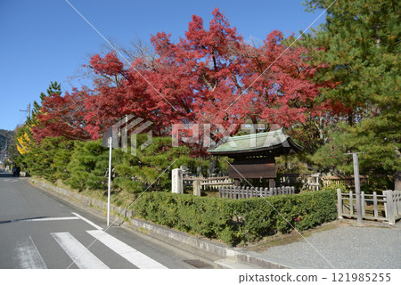 Autumn leaves at the entrance to Daikakuji Temple, Saga, Ukyo Ward, Kyoto City 121985255