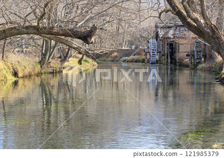 Azumino in winter: Watermill at Daio Wasabi Farm Azumino in winter: Watermill at Daio Wasabi Farm 121985379
