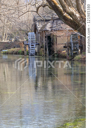 Azumino in winter: Watermill at Daio Wasabi Farm Azumino in winter: Watermill at Daio Wasabi Farm 121985380
