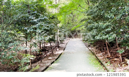 通往山的路 通往山的路 121985391