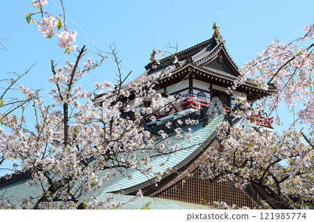 盛開的櫻花和清洲城 121985774