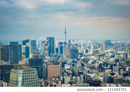[#Tokyo] 從東京鐵塔看到的城市景觀 121985781