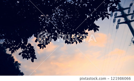 Landscape at dusk Landscape at dusk 121986066