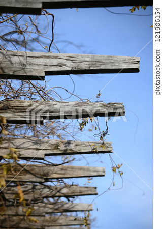 Decaying Pergola Decaying Pergola 121986154