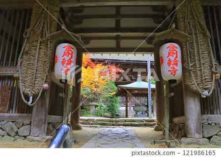 秋天的金剛林寺(滋賀縣愛莊町國寶大殿二天門) 秋天的金剛林寺(滋賀縣愛莊町國寶大殿二天門) 121986165