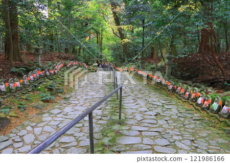 Kongorinji Temple in autumn (approach to the temple, Aisho Town, Shiga Prefecture) 121986166