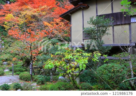 秋天的金剛林寺(滋賀縣愛莊町名樹院) 秋天的金剛林寺(滋賀縣愛莊町名樹院) 121986176