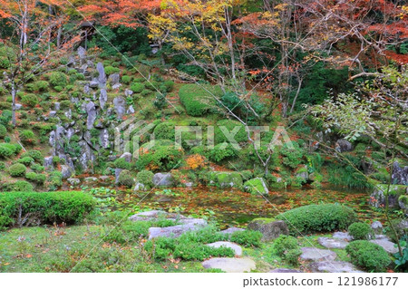 秋天的金剛林寺（滋賀縣愛莊町名樹院） 121986177