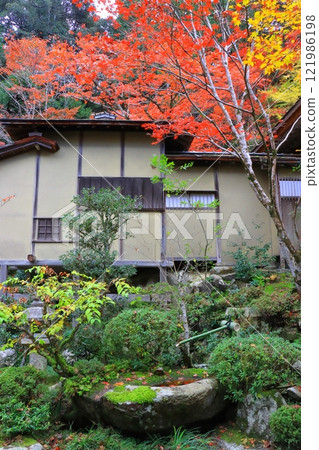 Kongorinji Temple in autumn (Myojuin Garden, Aisho Town, Shiga Prefecture, vertical composition) 121986198