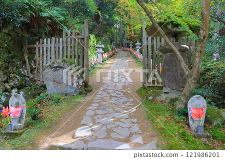 Kongorinji Temple in autumn (approach to the temple, Aisho Town, Shiga Prefecture) Kongorinji Temple in autumn (approach to the temple, Aisho Town, Shiga Prefecture) 121986201