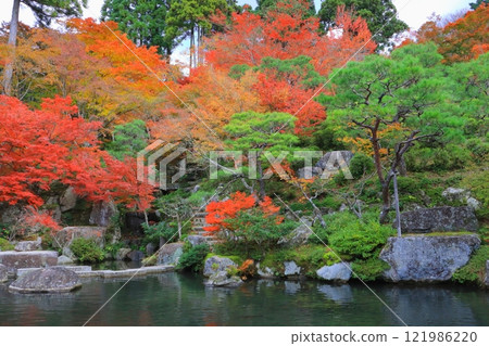 Autumn at Baekje Temple (Honbo-Kimi-in Garden, Higashiomi City) Autumn at Baekje Temple (Honbo-Kimi-in Garden, Higashiomi City) 121986220