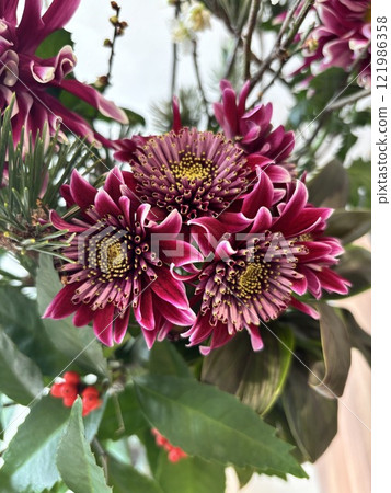 華麗的紅色花朵插在花瓶裡 121986358
